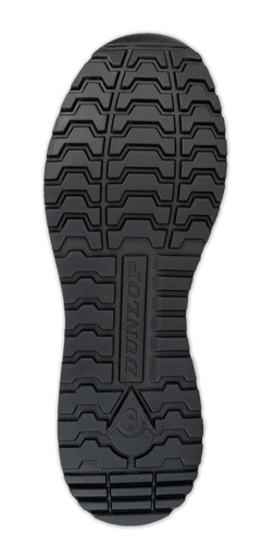 Singapore sole